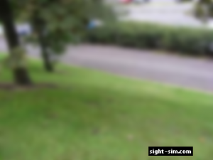 Blurred Grassy Slope