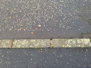 Pavement